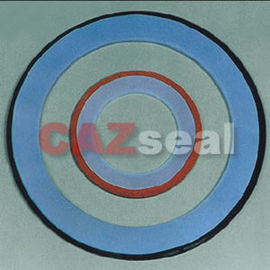 PTFE गैसकेट लिफाफा