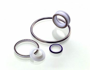 PTFE सील, स्प्रिंग सक्रिय Teflon सील, Teflon रोटरी सील, PTFE स्थिर मुहर